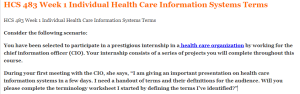 HCS 483 Week 1 Individual Health Care Information Systems Terms