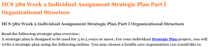 HCS 589 Week 2 Individual Assignment Strategic Plan Part I Organizational Structure