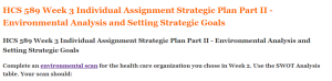 HCS 589 Week 3 Individual Assignment Strategic Plan Part II - Environmental Analysis and Setting Strategic Goals