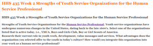 HHS 435 Week 2 Strengths of Youth Service Organizations for the Human Service Professional