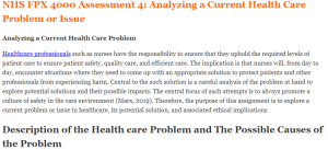 NHS FPX 4000 Assessment 4 Analyzing a Current Health Care Problem or Issue