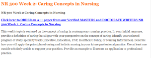 NR 500 Week 2 Caring Concepts in Nursing
