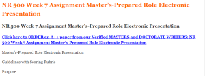 NR 500 Week 7 Assignment Master’s-Prepared Role Electronic Presentation