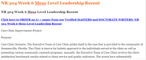 NR 504 Week 6 Meso Level Leadership Recent