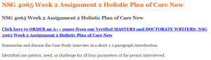 NSG 4065 Week 2 Assignment 2 Holistic Plan of Care New