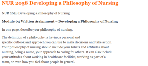 NUR 2058 Developing a Philosophy of Nursing