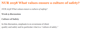 NUR 2058 What values ensure a culture of safety
