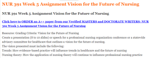 NUR 391 Week 5 Assignment Vision for the Future of Nursing