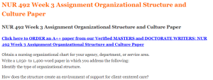 NUR 492 Week 3 Assignment Organizational Structure and Culture Paper