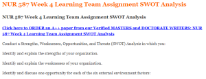 NUR 587 Week 4 Learning Team Assignment SWOT Analysis