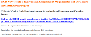 NUR 587 Week 6 Individual Assignment Organizational Structure and Function Project