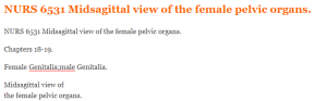 NURS 6531 Midsagittal view of the female pelvic organs.