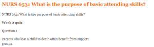 NURS 6531 What is the purpose of basic attending skills