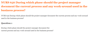 NURS 656 During which phase should the project manager document the current process and any work-around used in the business process