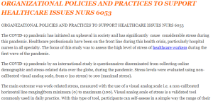ORGANIZATIONAL POLICIES AND PRACTICES TO SUPPORT HEALTHCARE ISSUES NURS 6053