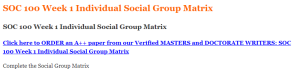 SOC 100 Week 1 Individual Social Group Matrix