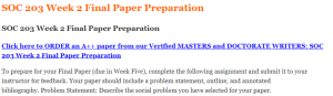 SOC 203 Week 2 Final Paper Preparation