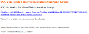 SOC 262 Week 3 Individual Native American Group