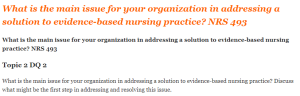 What is the main issue for your organization in addressing a solution to evidence-based nursing practice NRS 493