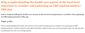 Why is understanding the health care system at the local level important to consider when planning an EBP implementation NRS 493