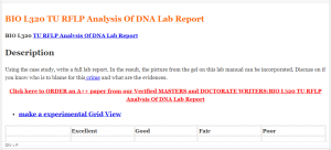 BIO L320 TU RFLP Analysis Of DNA Lab Report