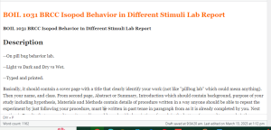 BOIL 1031 BRCC Isopod Behavior in Different Stimuli Lab Report