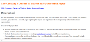 CSU Creating a Culture of Patient Safety Research Paper