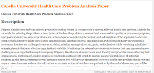 Capella University Health Care Problem Analysis Paper