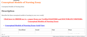 Conceptual Models of Nursing Essay