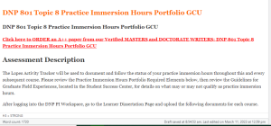 DNP 801 Topic 8 Practice Immersion Hours Portfolio GCU