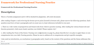 Framework for Professional Nursing Practice