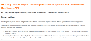 HLT 205 Grand Canyon University Healthcare Systems and Transcultural Healthcare PPT