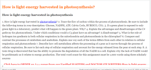 How is light energy harvested in photosynthesis
