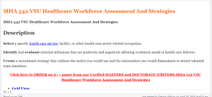 MHA 542 VSU Healthcare Workforce Assessment And Strategies