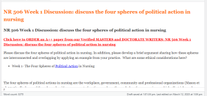 NR 506 Week 1 Discussion discuss the four spheres of political action in nursing