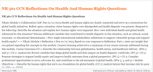 NR 561 CCN Reflections On Health And Human Rights Questions