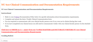 NU 610 Clinical Communication and Documentation Requirements