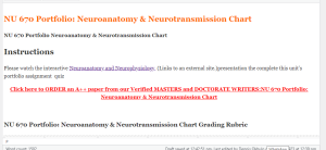 NU 670 Portfolio Neuroanatomy & Neurotransmission Chart