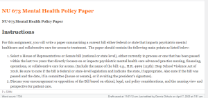 NU 673 Mental Health Policy Paper