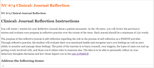 NU 674 Clinical Journal Reflection