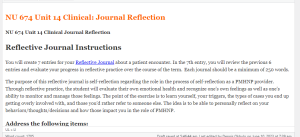 NU 674 Unit 14 Clinical Journal Reflection