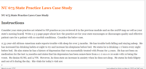NU 675 State Practice Laws Case Study