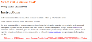 NU 675 Unit 10 Clinical SOAP