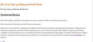 NU 675 Unit 14 Clinical SOAP Note
