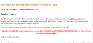 NU 675 Unit 15 Final Transition to Practice Plan