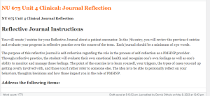 NU 675 Unit 4 Clinical Journal Reflection