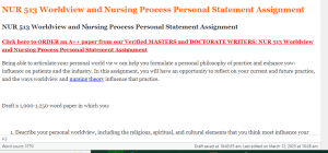 NUR 513 Worldview and Nursing Process Personal Statement Assignment