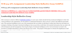 NUR 514 APA Assignment Leadership Style Reflective Essay SAMPLE