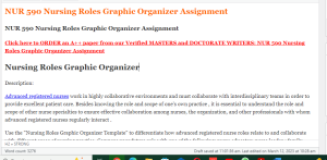 NUR 590 Nursing Roles Graphic Organizer Assignment