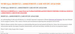 NURS 6501 MODULE 1 ASSIGNMENT CASE STUDY ANALYSIS